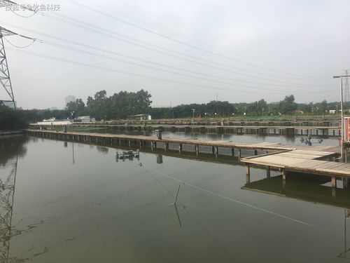 優魚科技 科技助力水產養殖，引領傳統養殖模式轉型升級