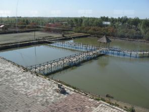 水產養殖業的發展前景
